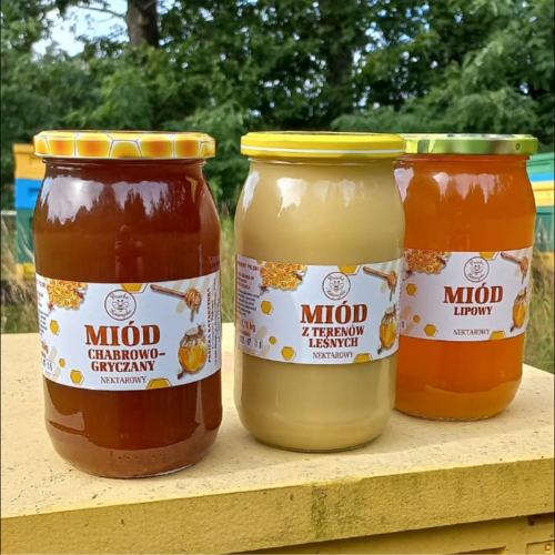 Miody Pasieka Katarzynka